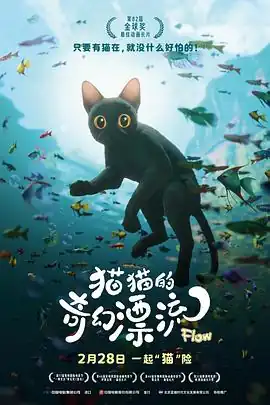 猫猫的奇幻漂流