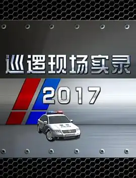 巡逻现场实录2017